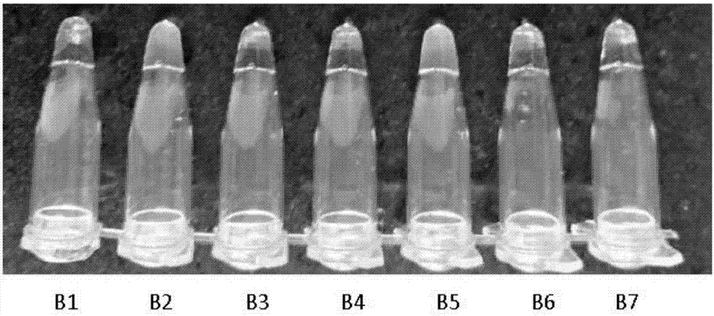 Primer composition for detecting mutation of CALR gene type 2 and kit