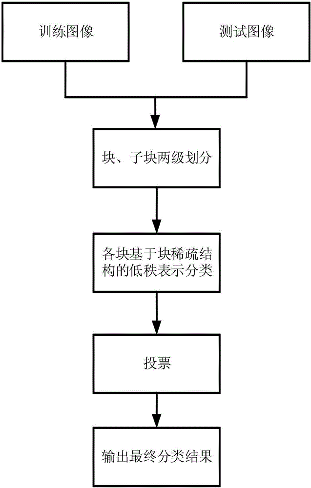 Block sparse structure low-rank representation based single-sample human face identification method