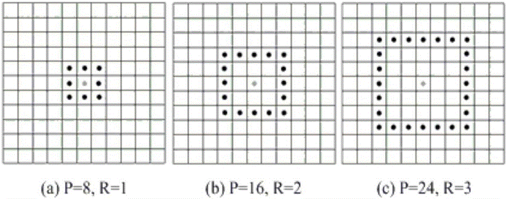 Block sparse structure low-rank representation based single-sample human face identification method