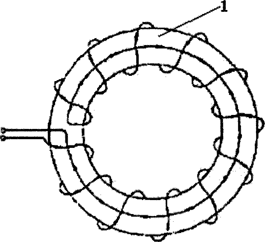 Population parameter on-line monitoring system for lightning current and work flow thereof