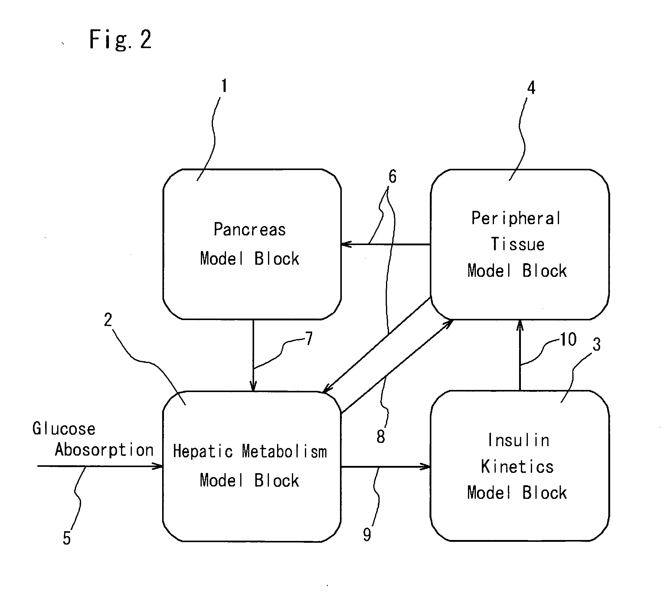 Simulation system for functions of biological organs and recording medium in which program therefor is recorded