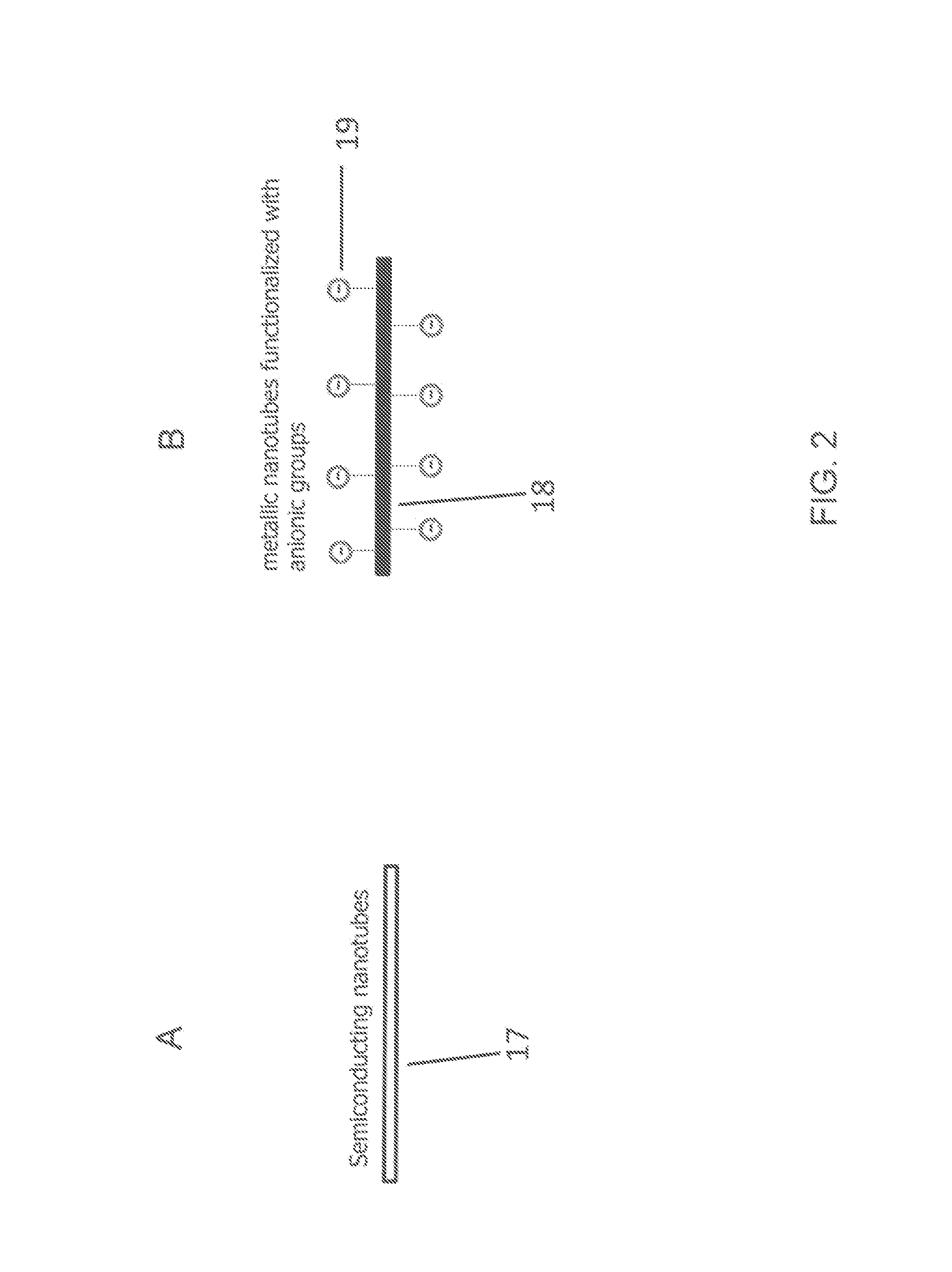 Metallic and semiconducting carbon nanotube sorting