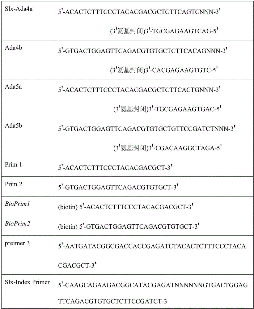 Method for constructing series connection RAD [restriction-site-associated DNA (deoxyribonucleic acid)] tag sequencing libraries