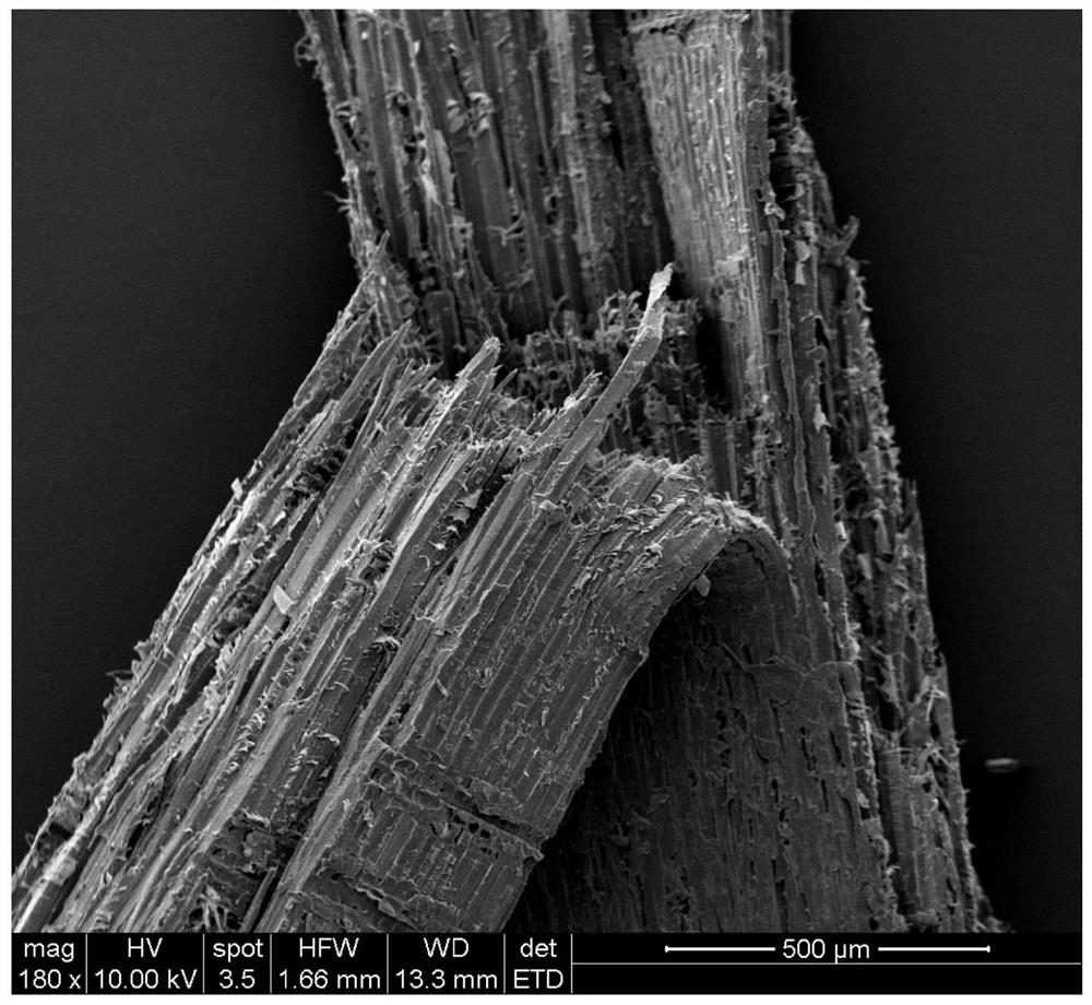 Preparation method for softening and bending wood