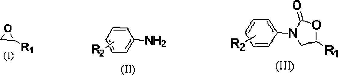 Carbon dioxide one-pot method for directly preparing oxazolidine-2-one compounds