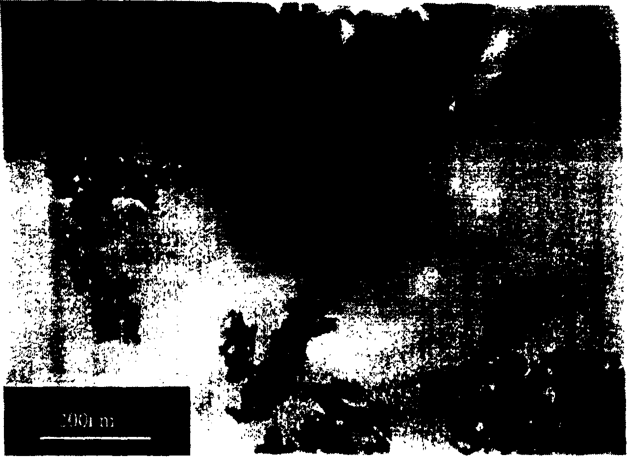 Method for cladding Nano carbon tube by using hydroxyapatite