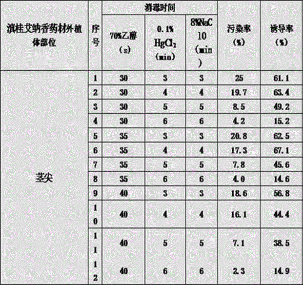 A kind of rapid propagation method of Yunnan laurel Ainaxiang medicinal material