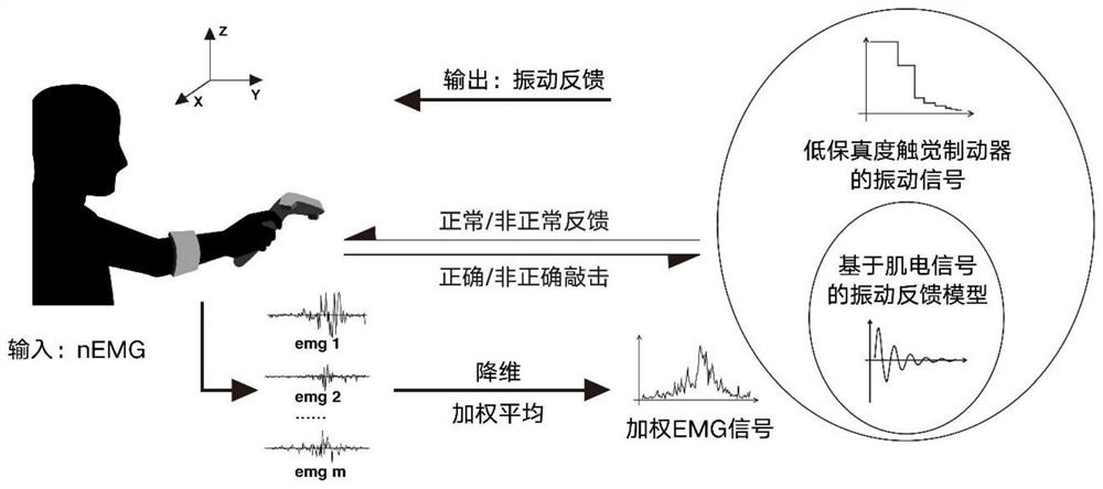 Human body electromyographic signal virtual shock vibration feedback system and feedback signal generation method