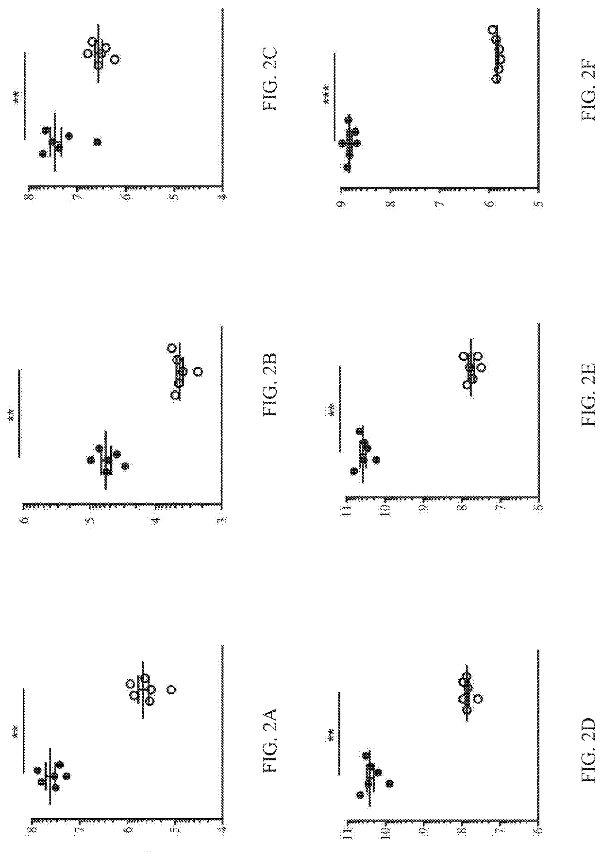 Polypeptide derivatives from grass carp interferon and application thereof