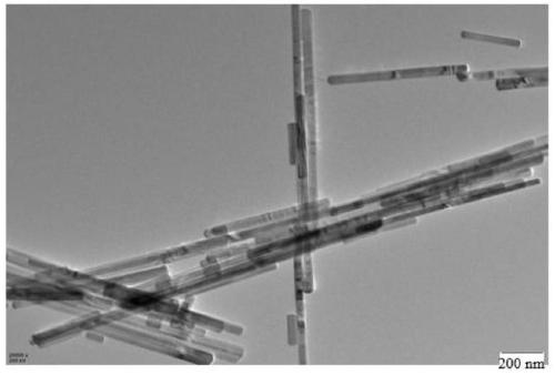 Preparation method and application of non-noble metal monoatomic catalyst