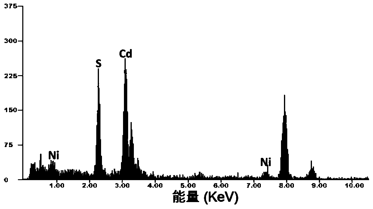 Preparation method and application of non-noble metal monoatomic catalyst