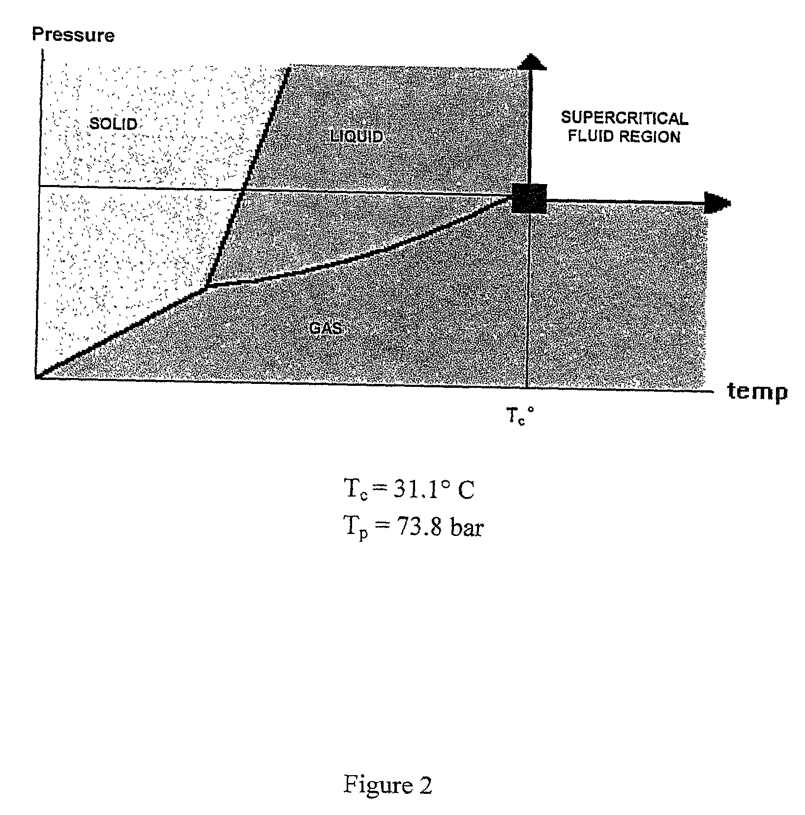 Method of treating cellulose fibers and products obtained thereby