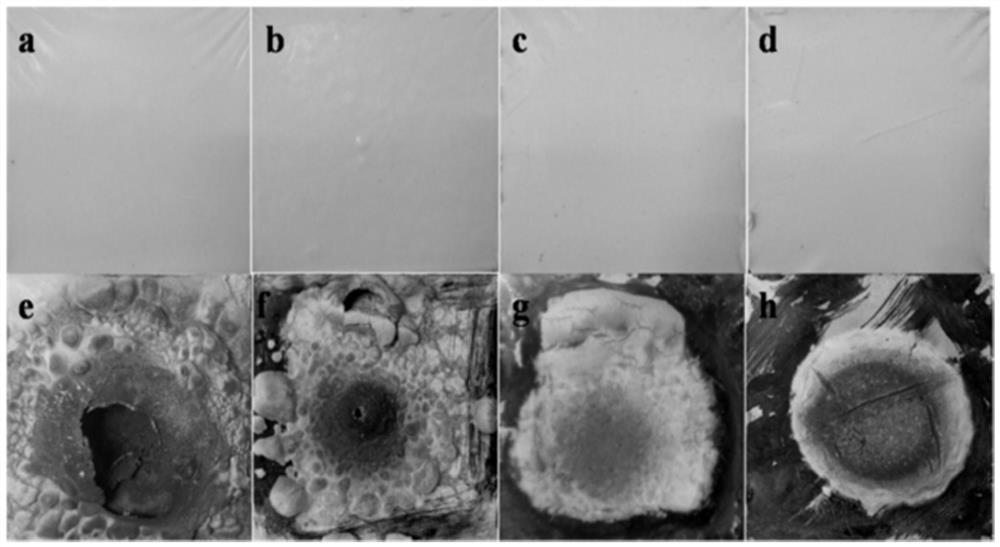 A new type of inorganic expansion steel structure fireproof coating and its preparation method