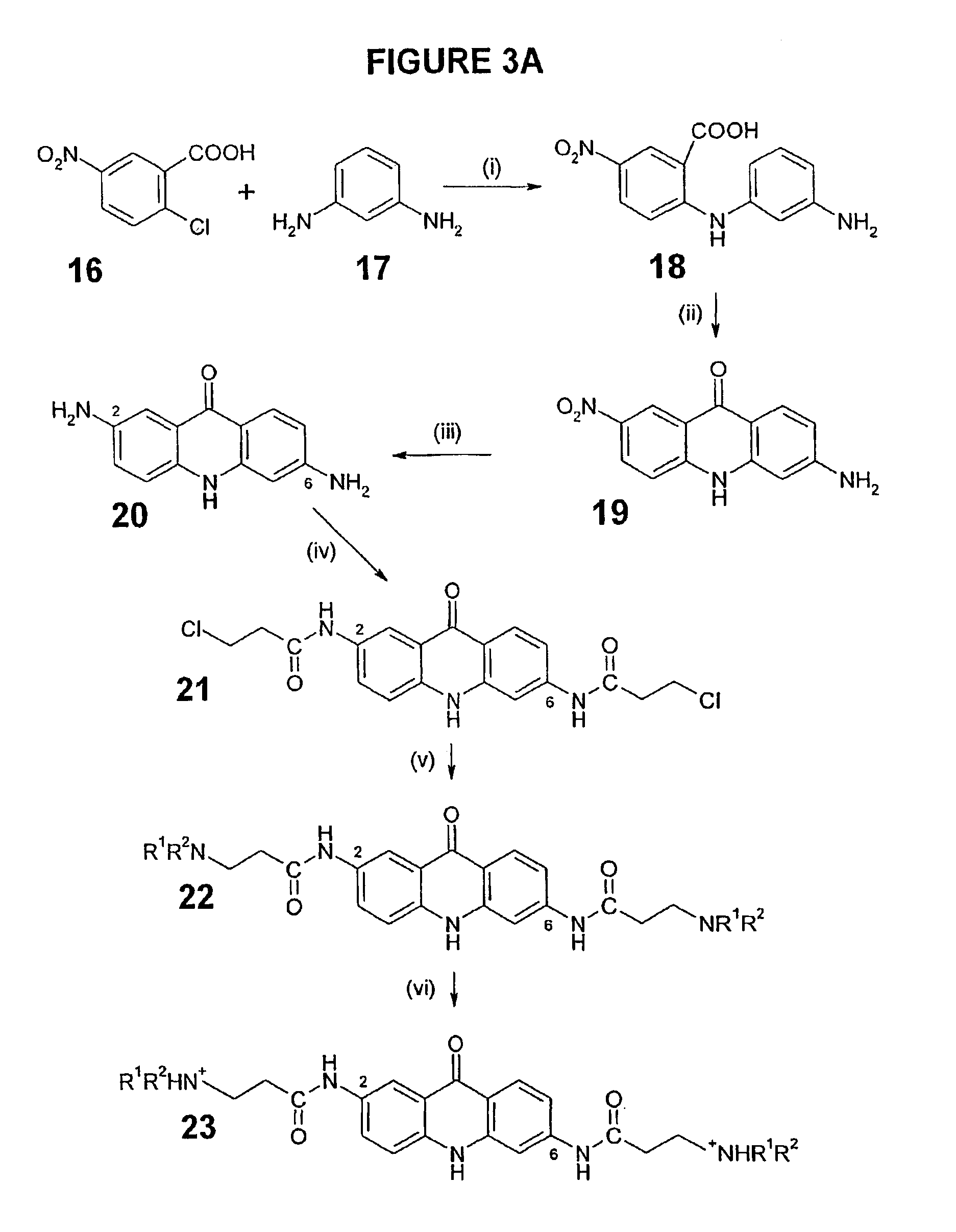 Therapeutic acridone and acridine compounds