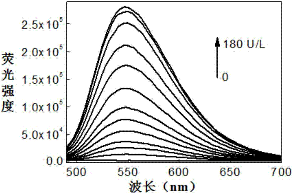 Precipitated alkaline phosphatase fluorescence probe, and synthetic method and applications thereof