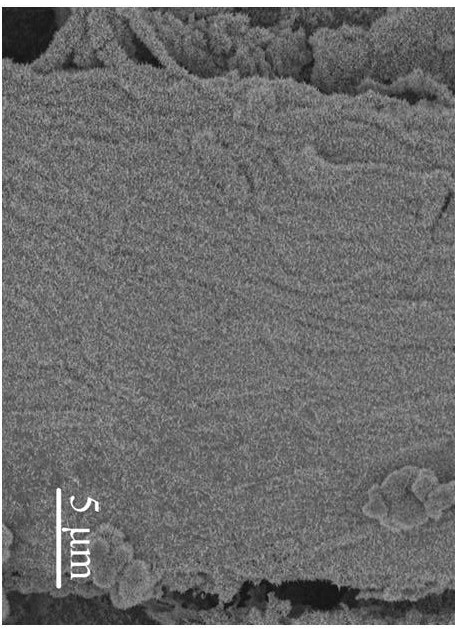 Preparation method of gold-iron oxyhydroxide-cuprous oxide-copper sulfide composite paper