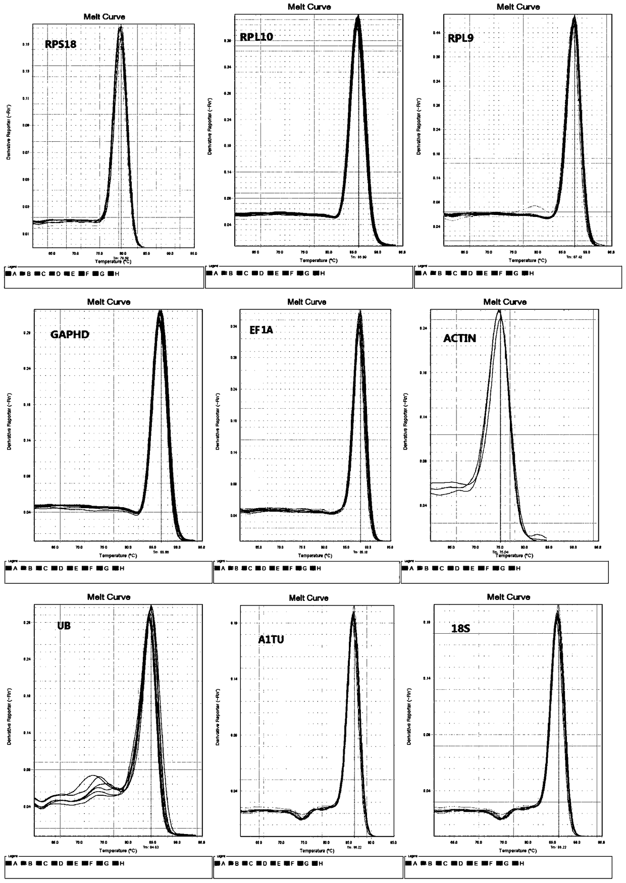 Internal reference gene stably expressed in different tissue parts of white-backed planthopper, its screening method and application