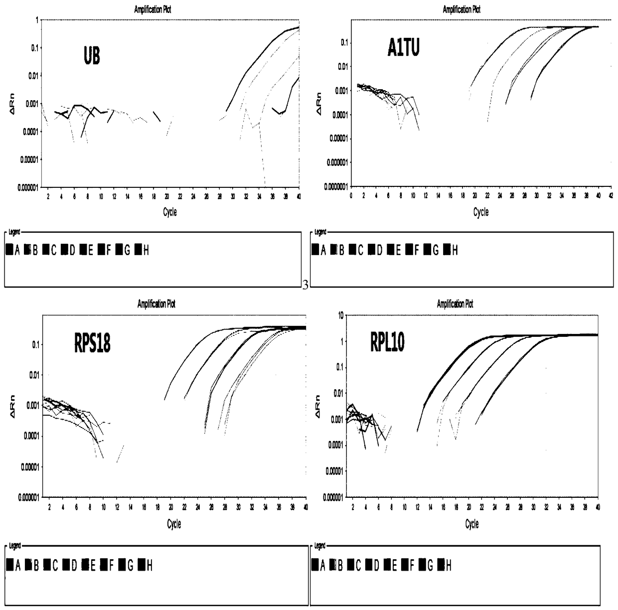 Internal reference gene stably expressed in different tissue parts of white-backed planthopper, its screening method and application