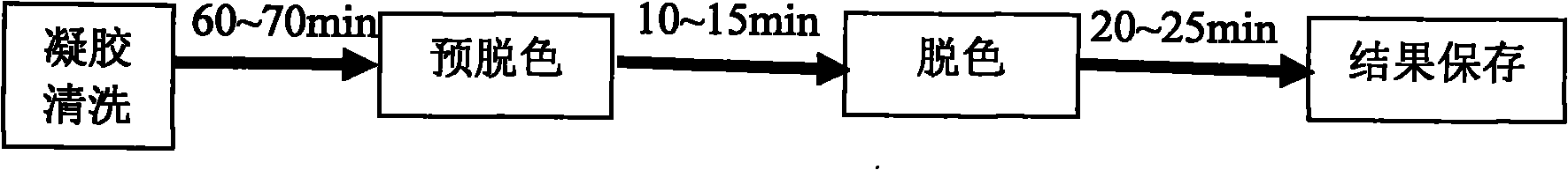 SDS-PAGE (Sodium dodecyl sulfate-polyacrylamide gel electrophoresis) rapid decoloring method and special decoloring cup thereof