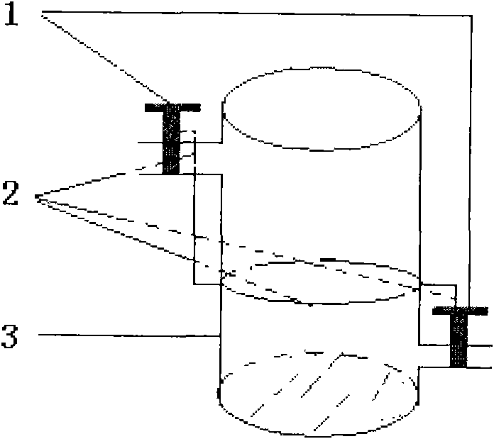 SDS-PAGE (Sodium dodecyl sulfate-polyacrylamide gel electrophoresis) rapid decoloring method and special decoloring cup thereof