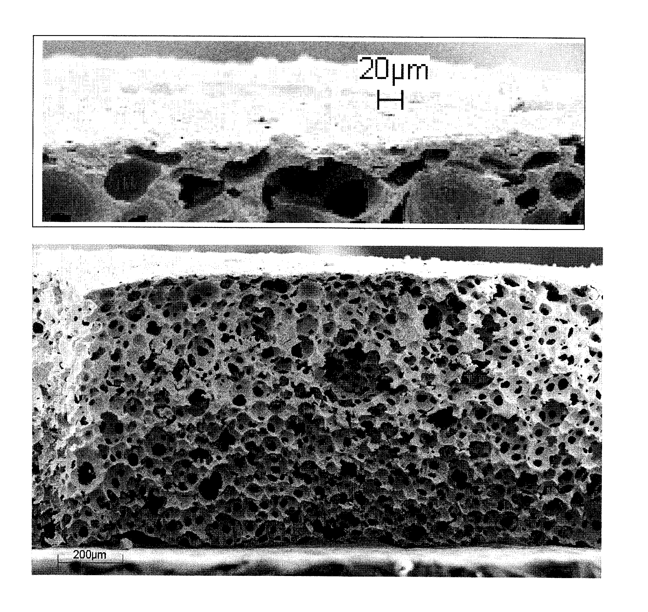 Fabrication of dual structure ceramics by a single step process