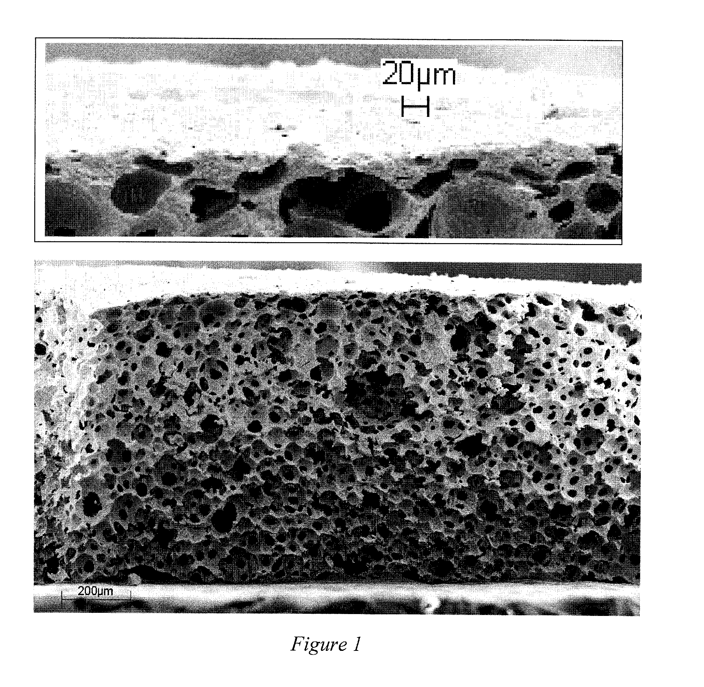 Fabrication of dual structure ceramics by a single step process