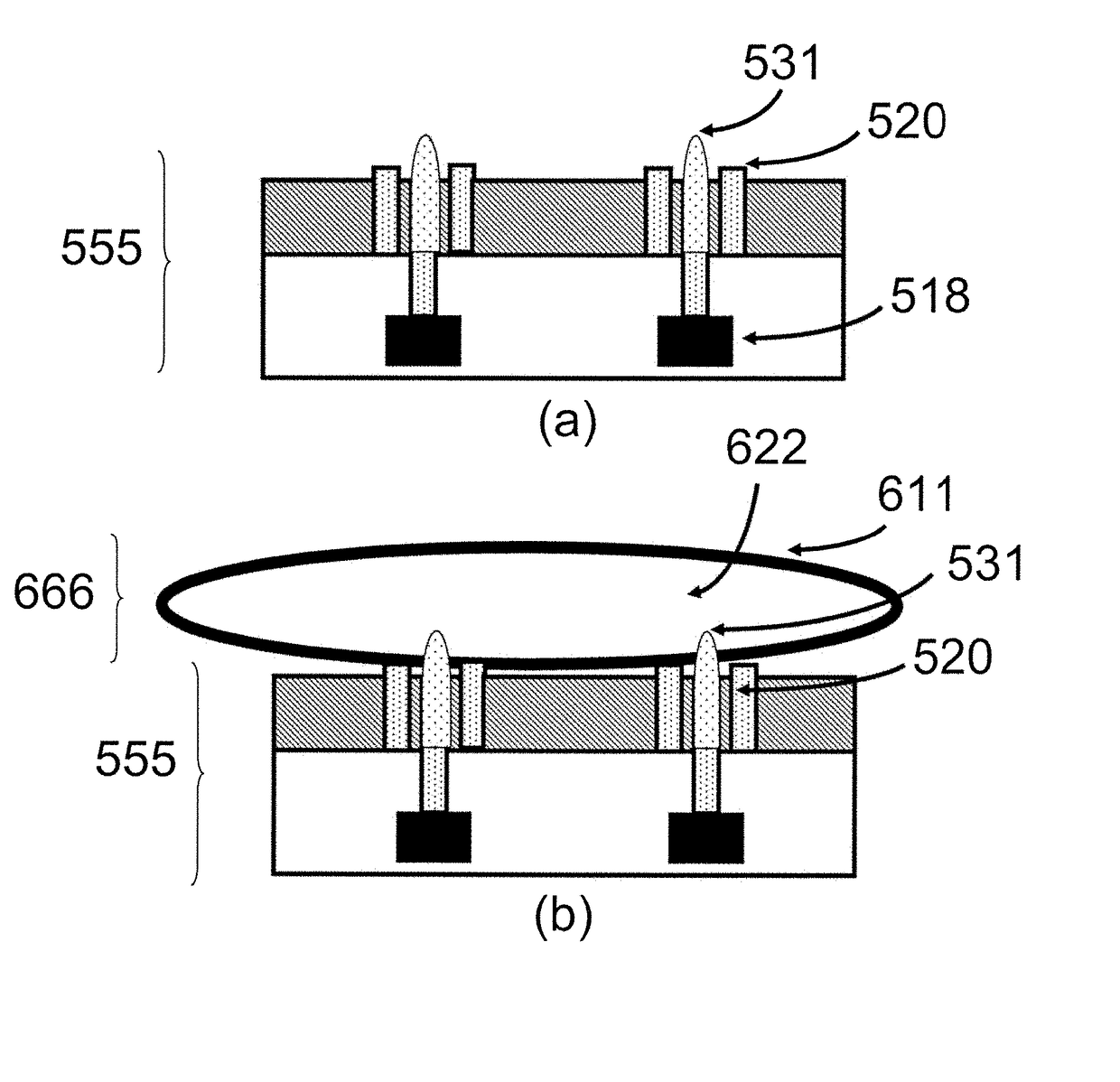 Apparatus for disease detection