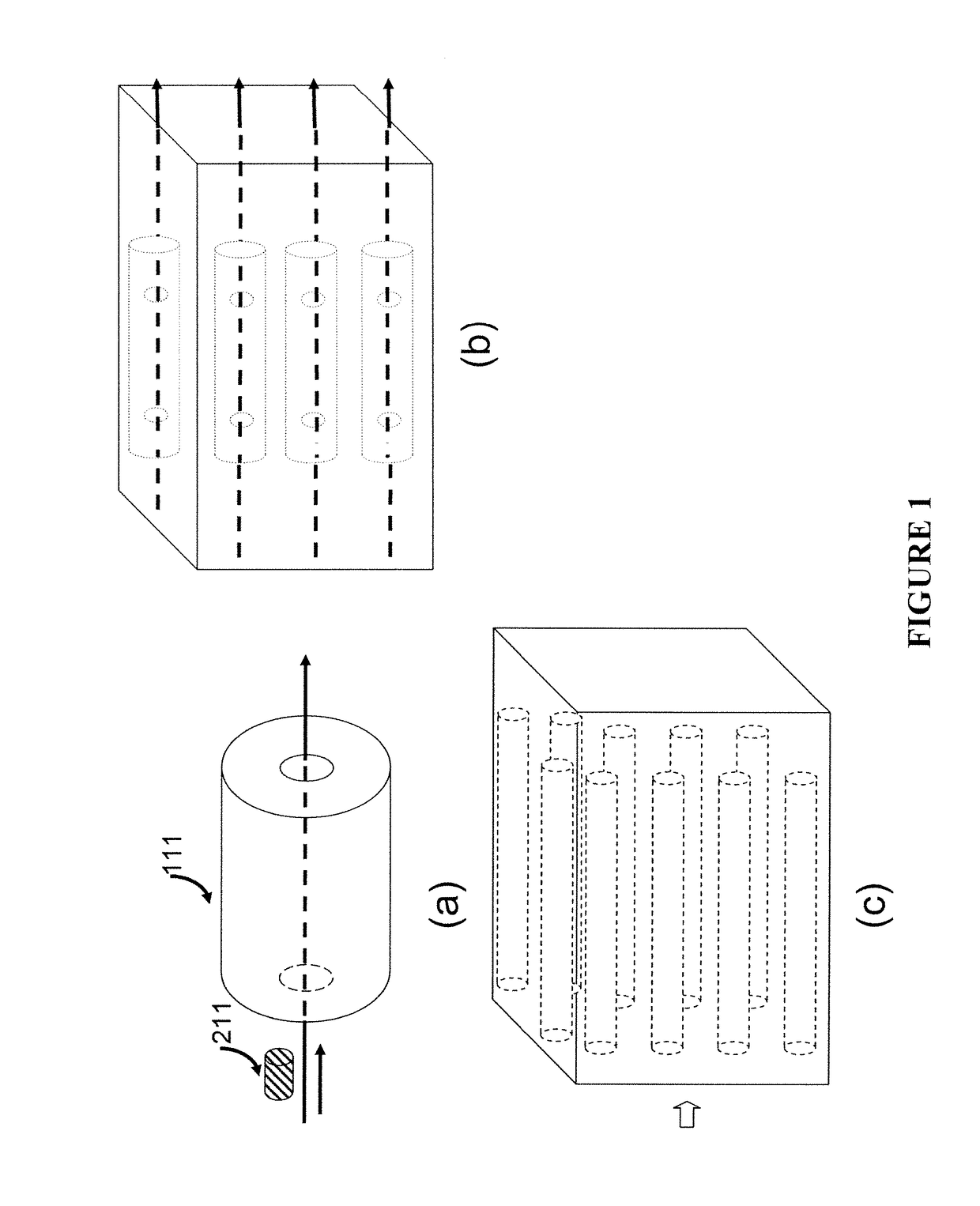 Apparatus for disease detection