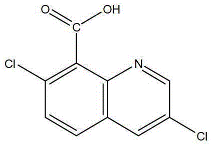 Quinclorac degrading bacteria and application thereof