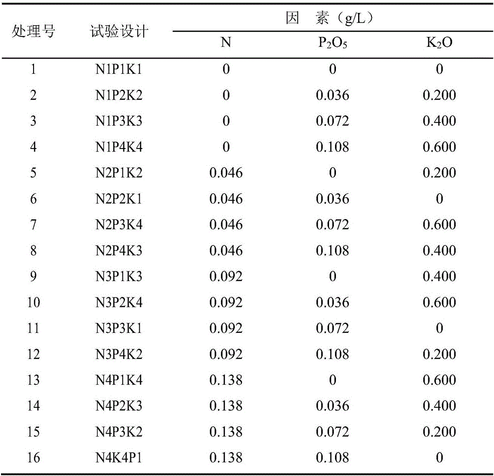 Optimal selection method for promoting leaves of Nandina domestica "Hongye" to coloring by proportional fertilization