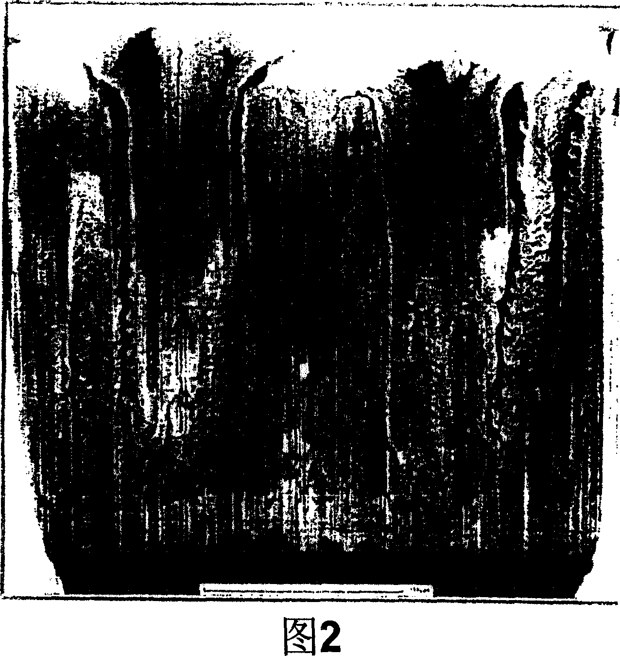 Lithium secondary battery and method for producing same