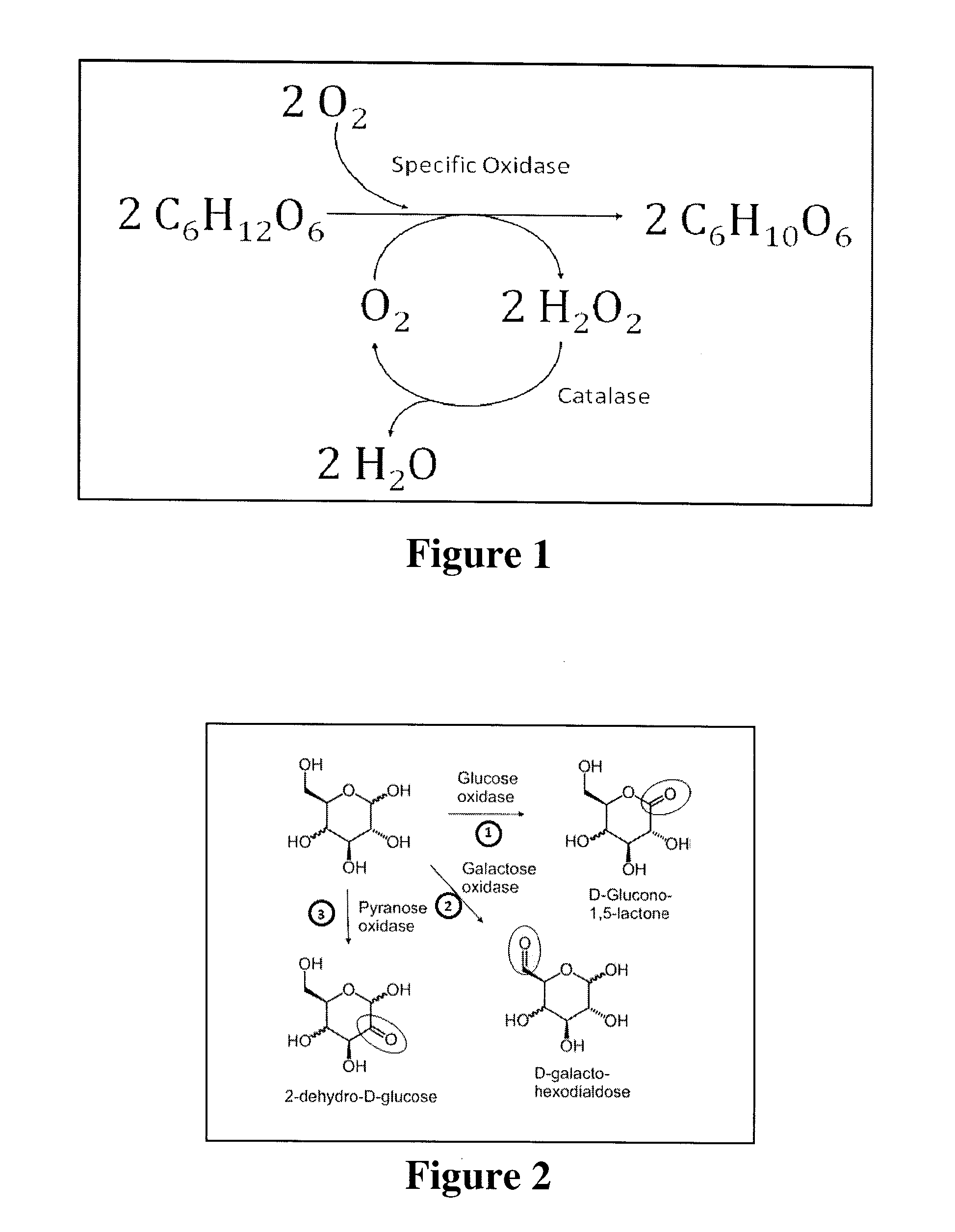 Systems and Methods for Enzymatic Oxygen Removal