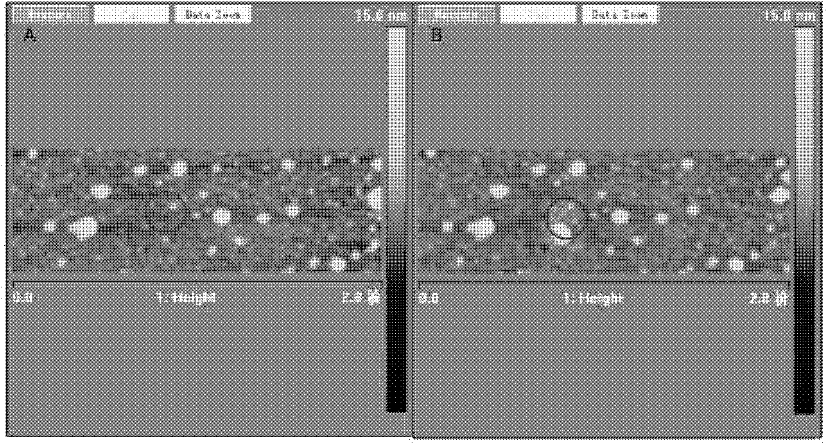 Force modulation mode-based dip-pen nanolithography method