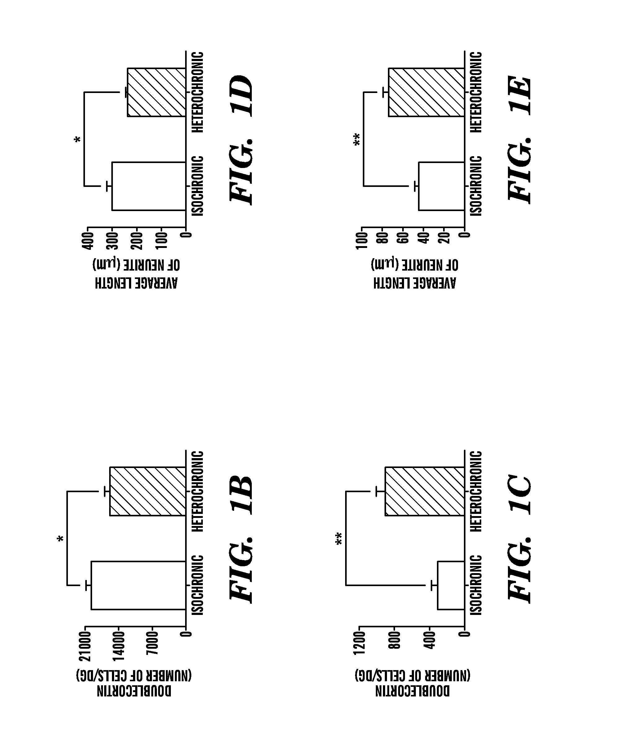 Ccr3 modulation in the treatment of aging-associated impairments, and compositions for practicing the same