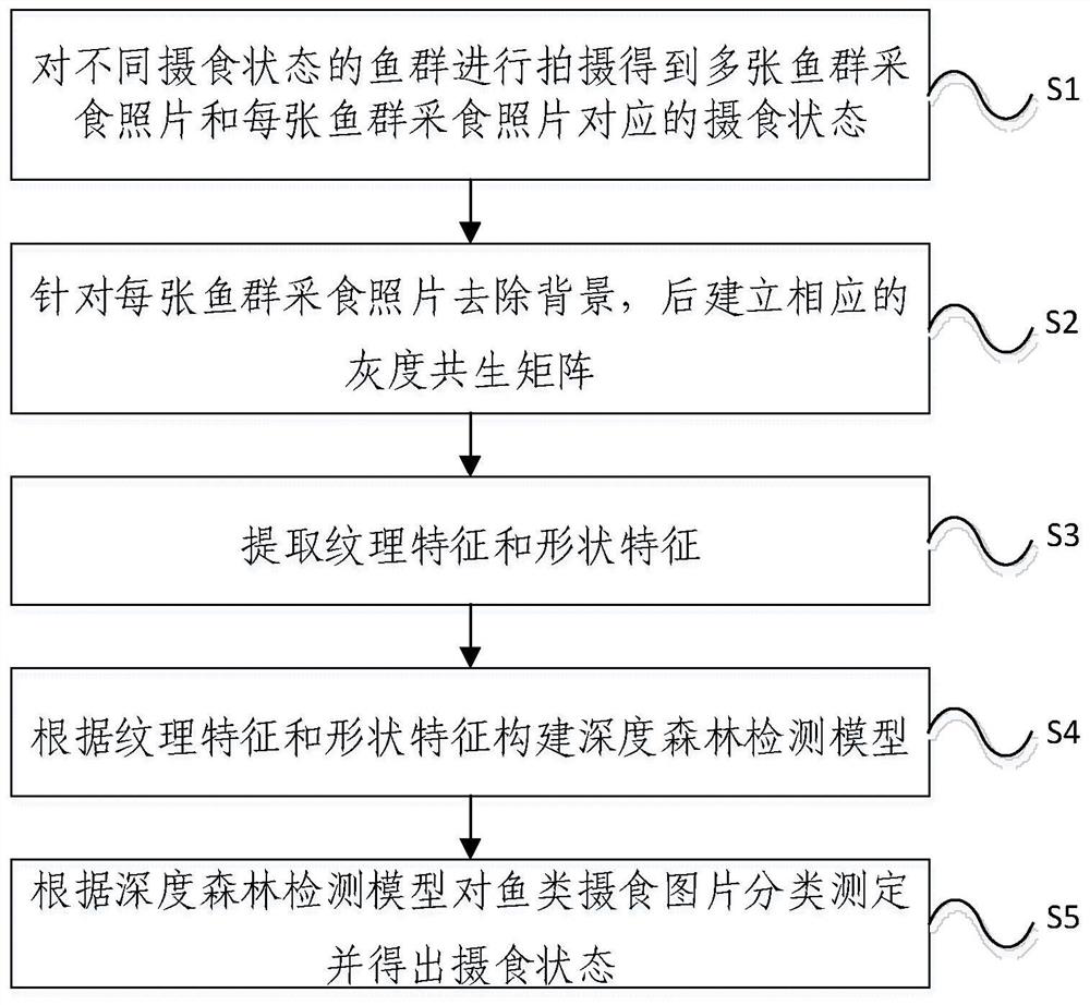 Method and device for detecting feeding state of fishes