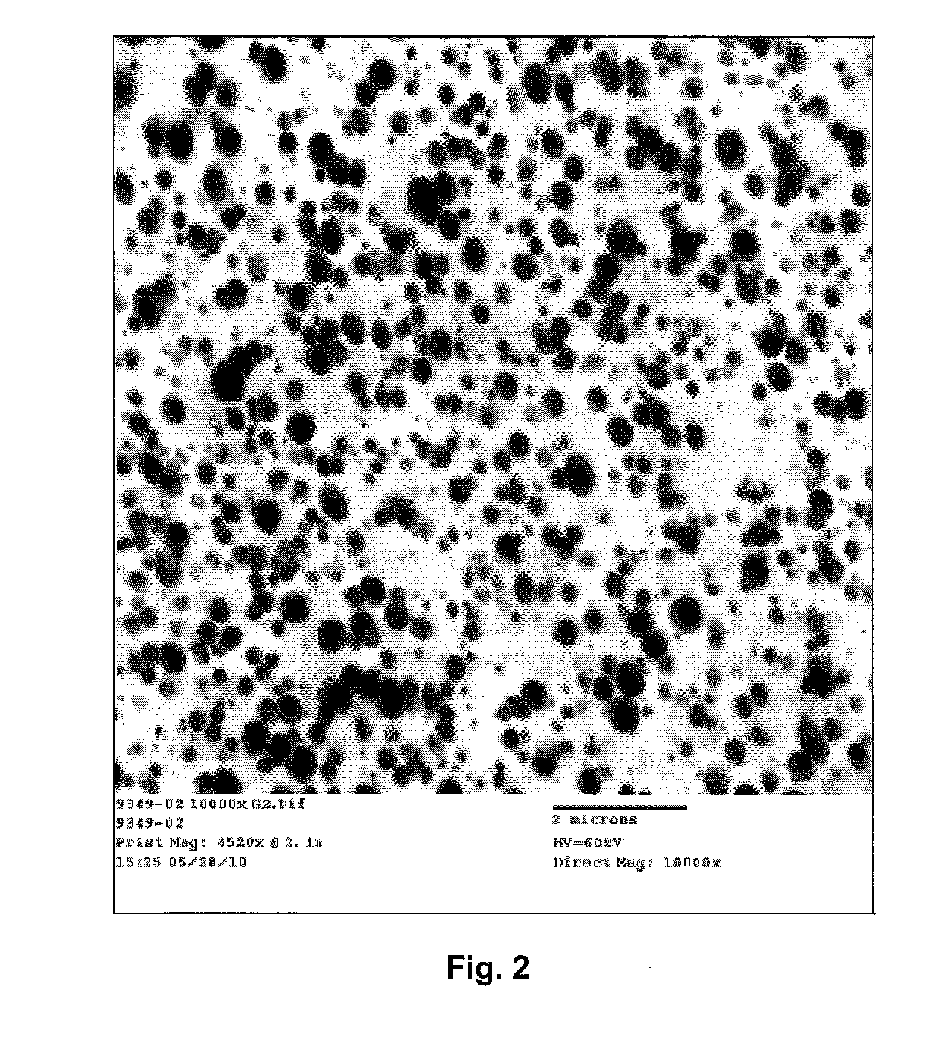 Modified Polylactic Acid Fibers