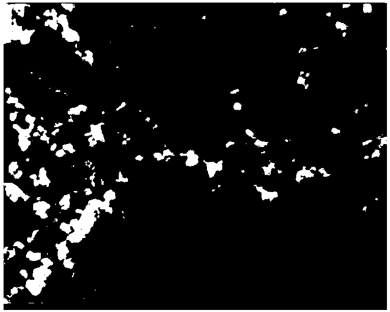 Carbon-doped nitrogen-coated tin oxide/iron oxide composite material, preparation method thereof, and lithium battery material