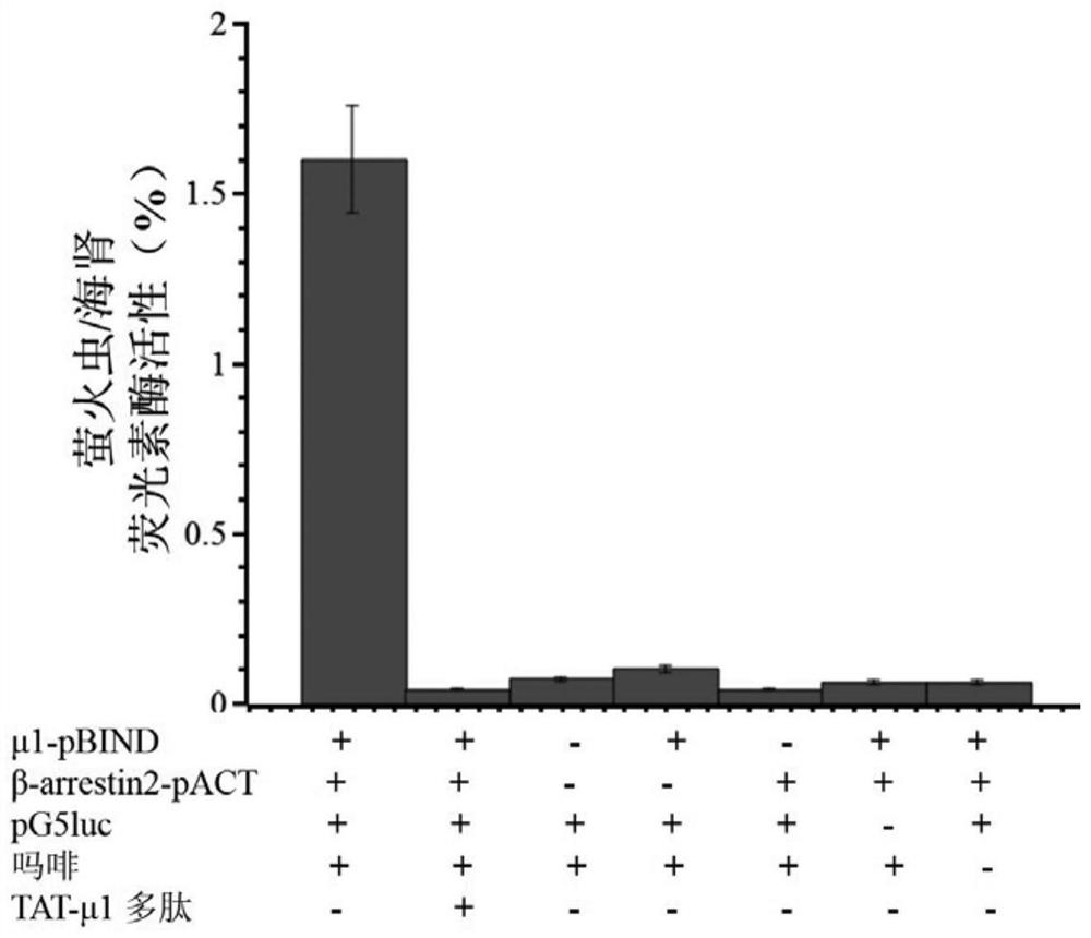 A polypeptide capable of alleviating morphine tolerance and side effects and its application