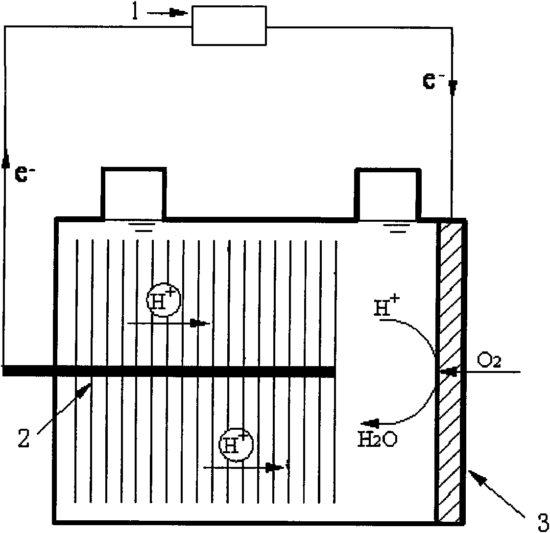 Method for generating hydrogen in microorganism electrolysis cell with protein