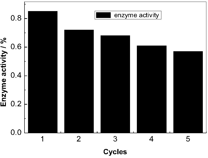 Method for preparing magnetically regenerable immobilized bio-enzyme