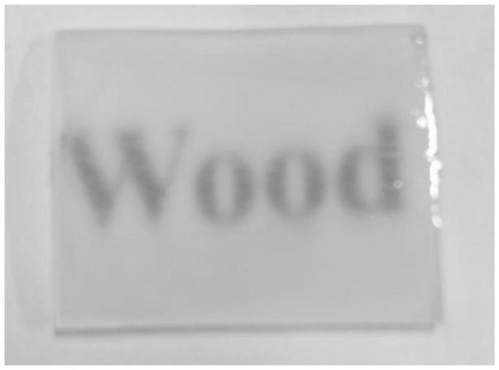 Preparation method of noctilucent transparent wood