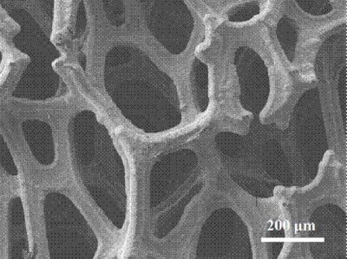 Preparation method of alloy hydrogen evolution electrode loaded on foam transition metal