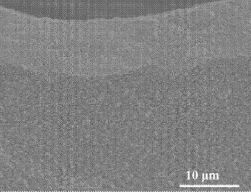 Preparation method of alloy hydrogen evolution electrode loaded on foam transition metal