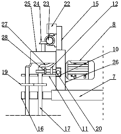 Vegetable and fruit planting device