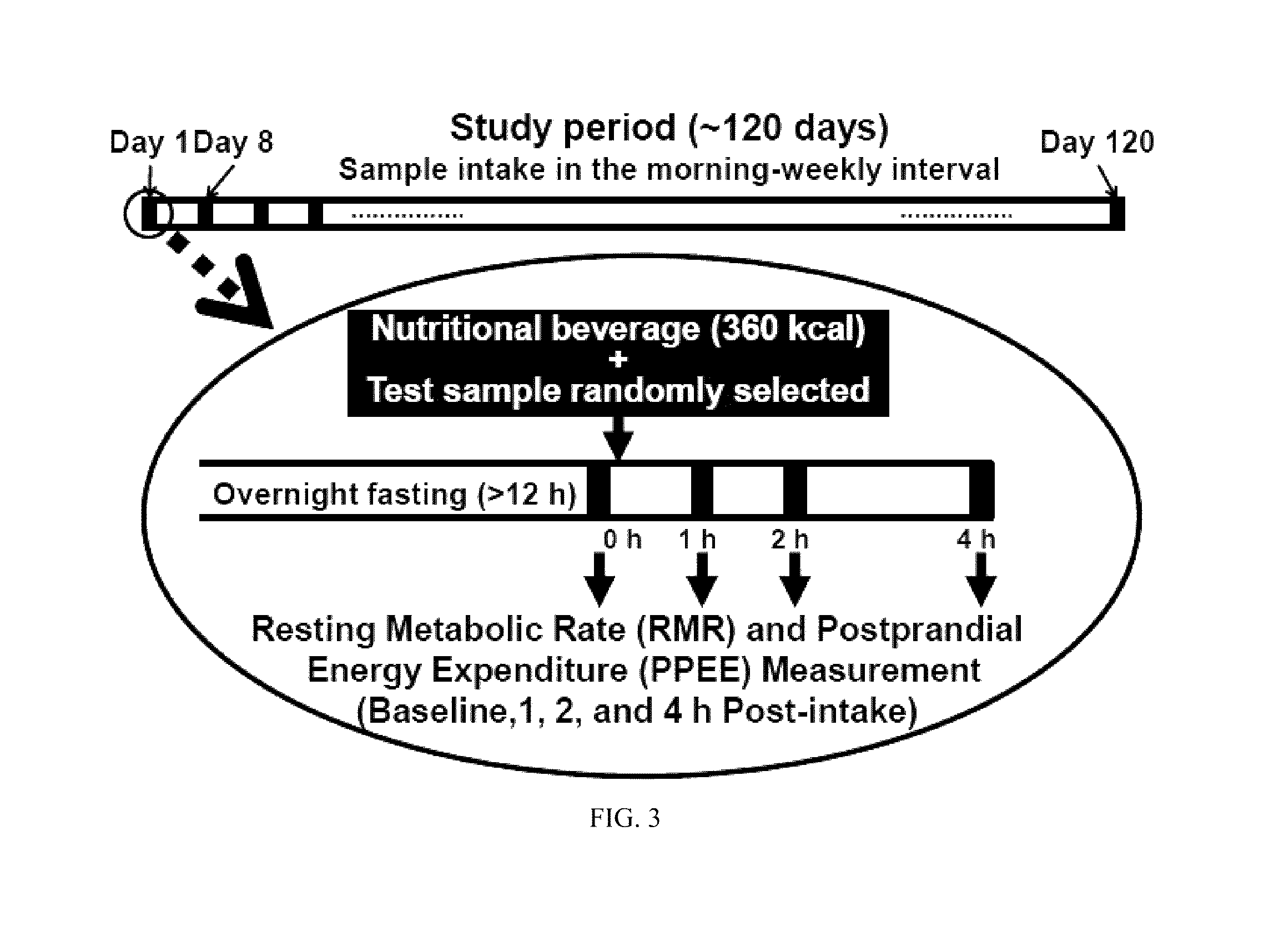 Formulations and methods for reducing waist circumference