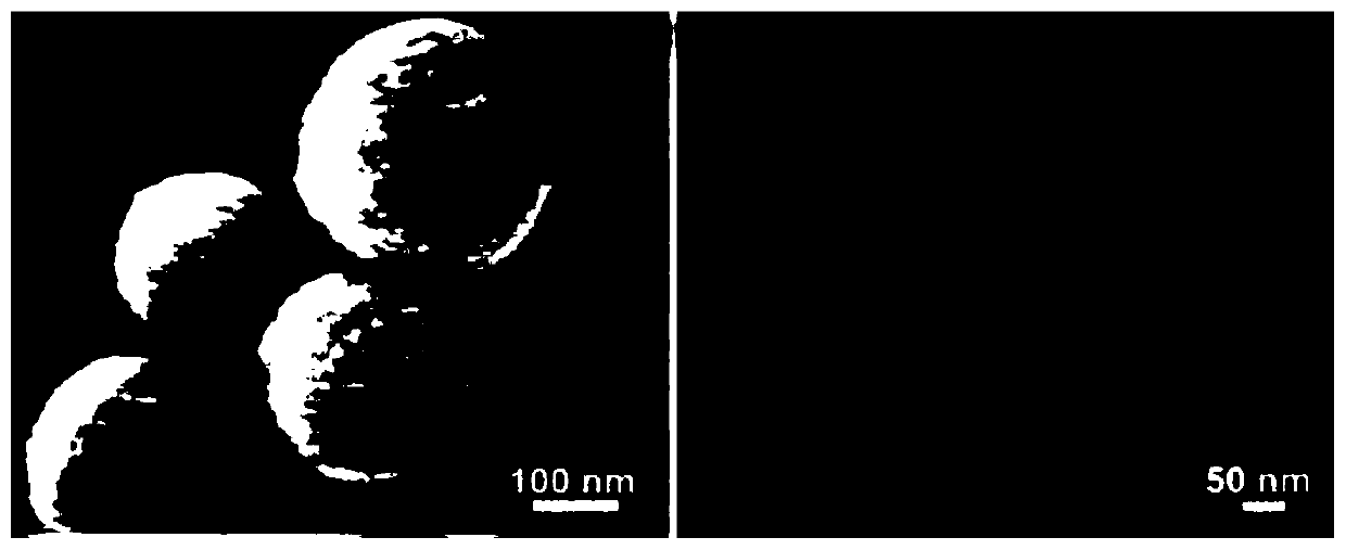 Hollow carbon sphere/molybdenum disulfide bipolar composite material and preparation method and application thereof