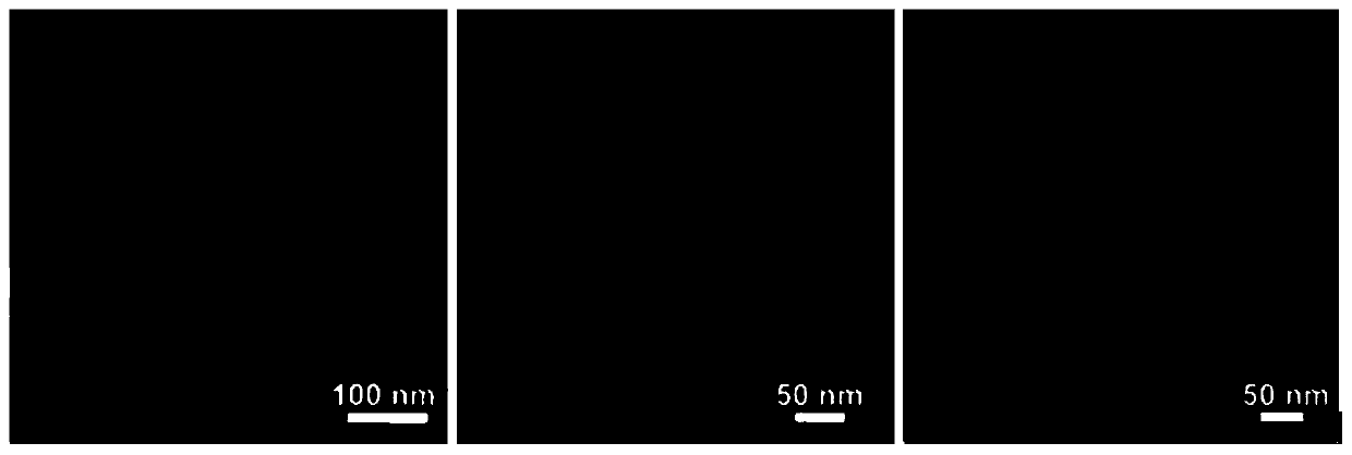 Hollow carbon sphere/molybdenum disulfide bipolar composite material and preparation method and application thereof