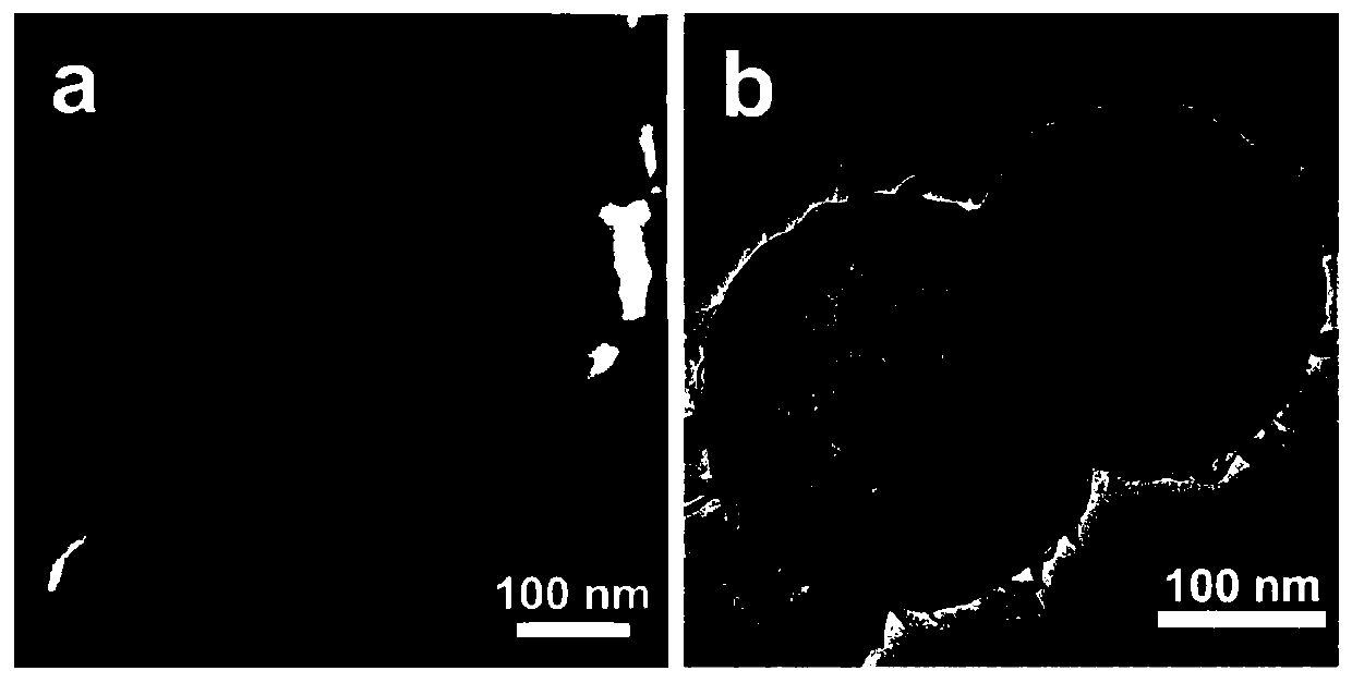 Hollow carbon sphere/molybdenum disulfide bipolar composite material and preparation method and application thereof