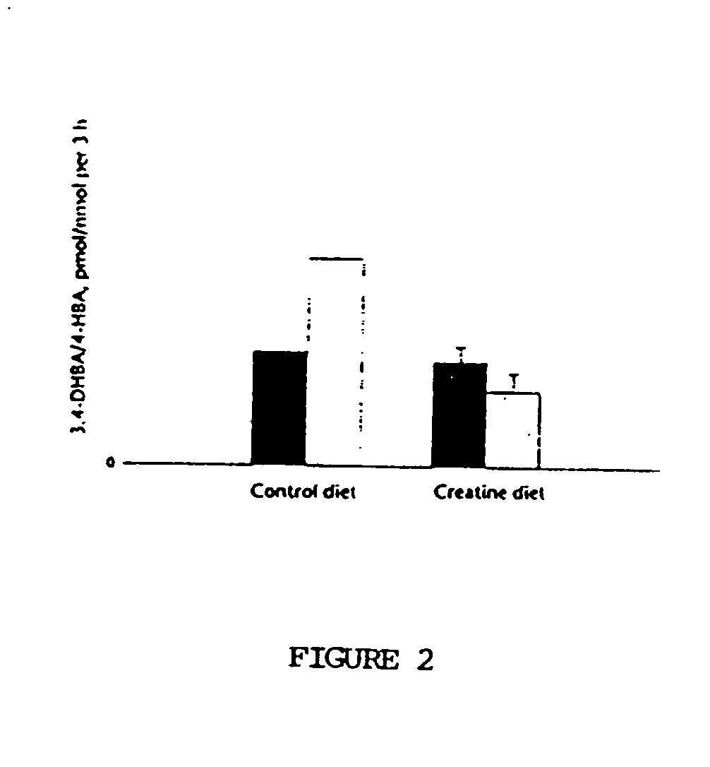 Use of creatine or creatine compounds for skin preservation