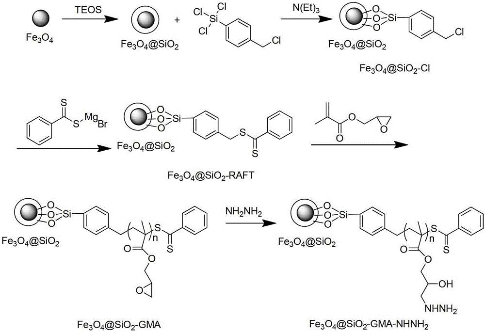 A brush-type hydrazine polymer functionalized magnetic nanomaterial and its preparation and application